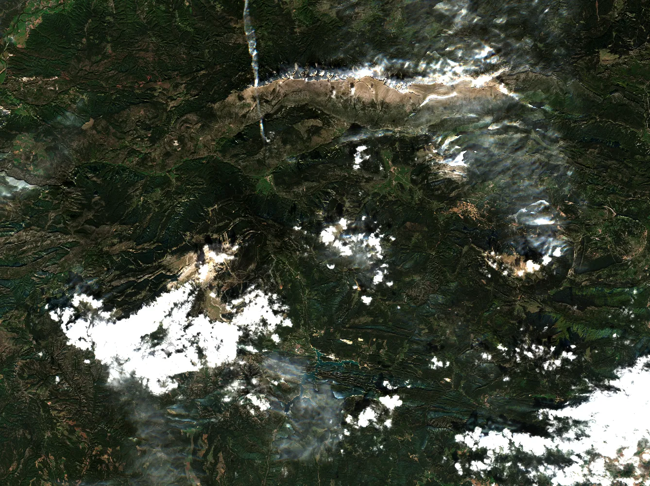 Original Image